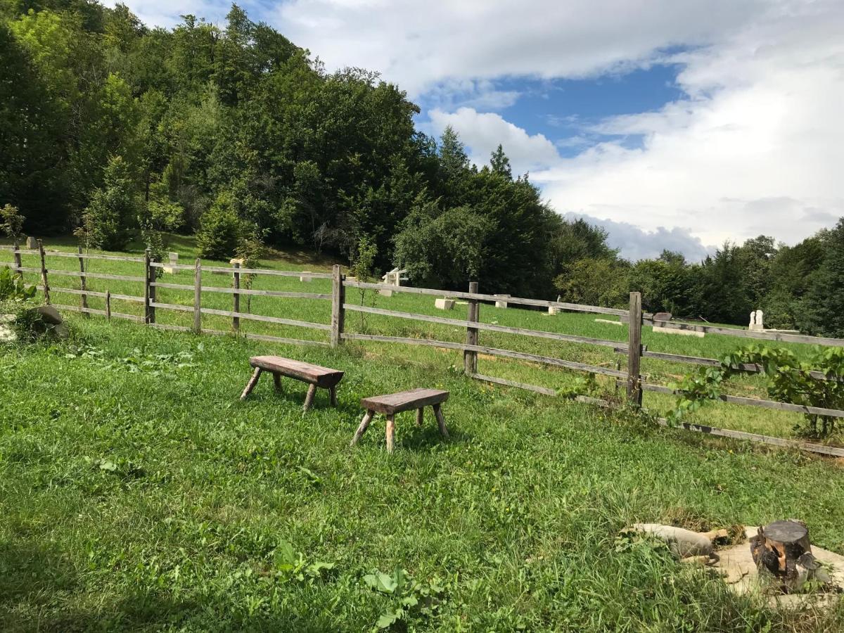 Apartmán Casutele Doftanei Teşila Exteriér fotografie