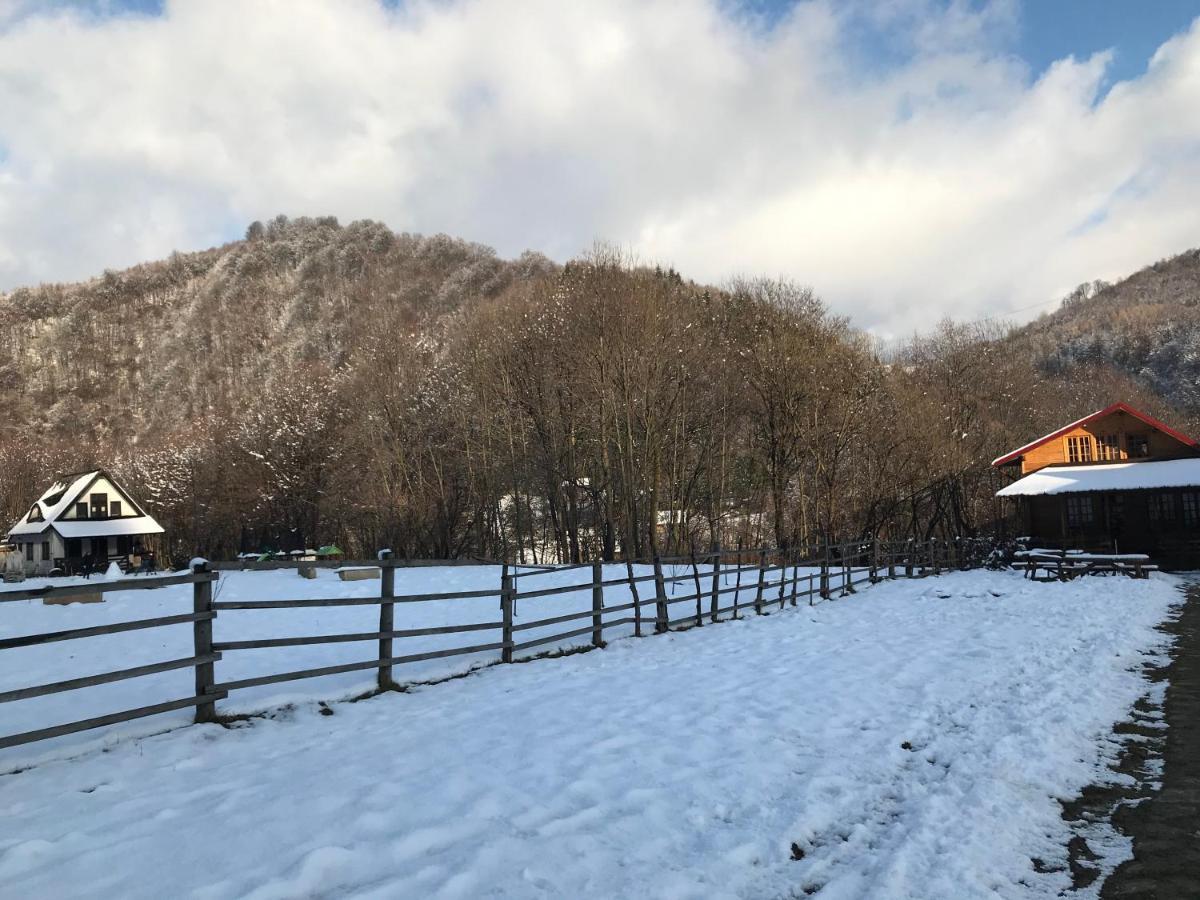 Apartmán Casutele Doftanei Teşila Exteriér fotografie
