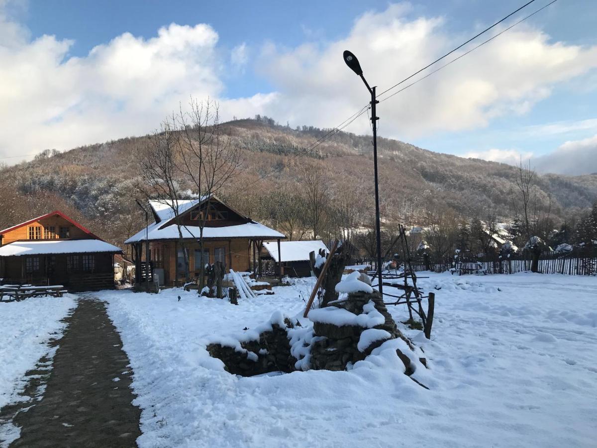 Apartmán Casutele Doftanei Teşila Exteriér fotografie