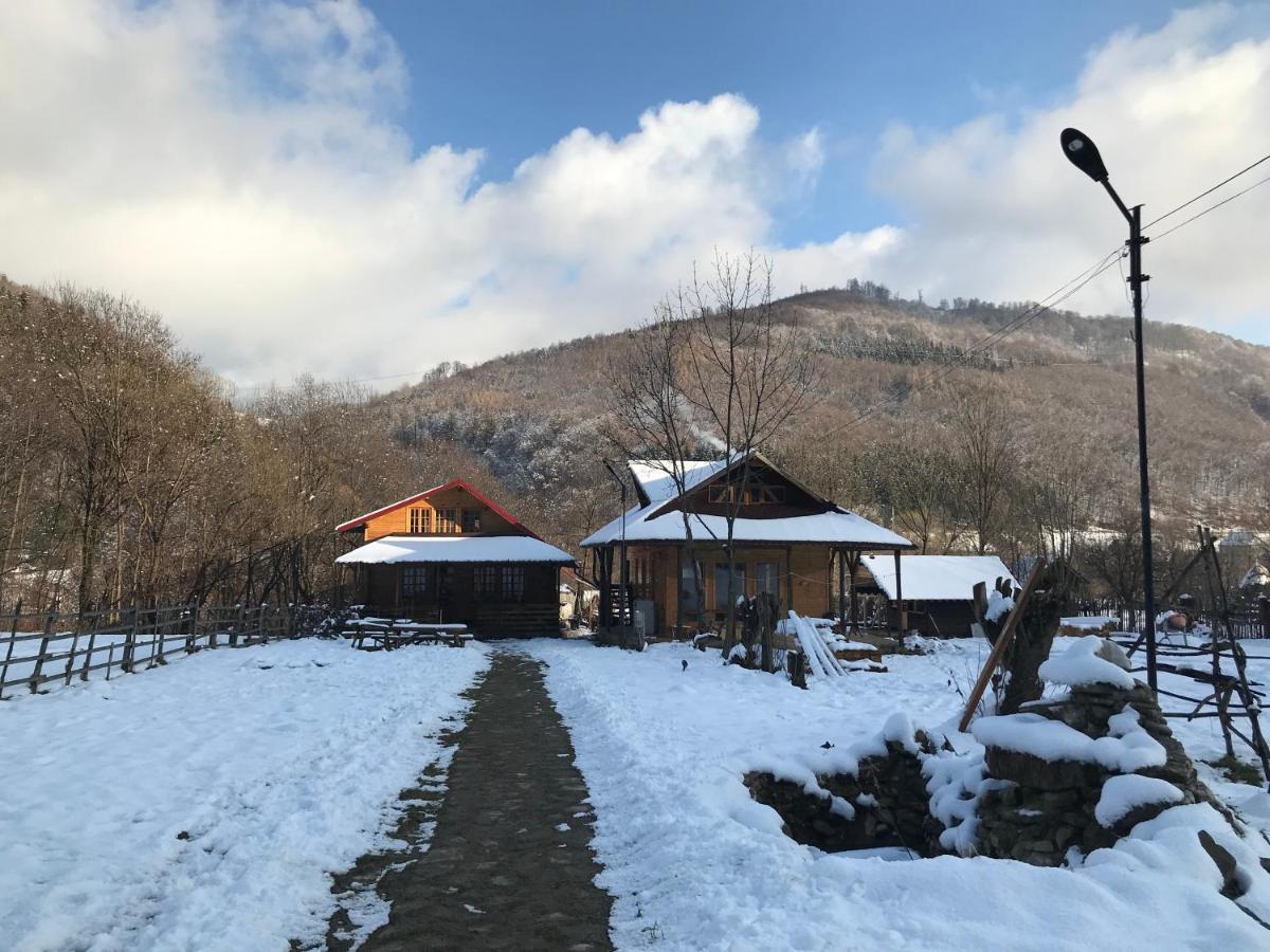 Apartmán Casutele Doftanei Teşila Exteriér fotografie