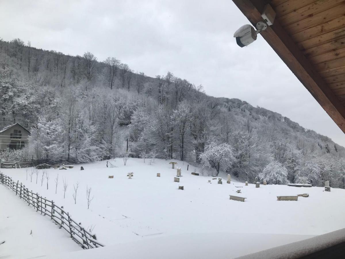 Apartmán Casutele Doftanei Teşila Exteriér fotografie