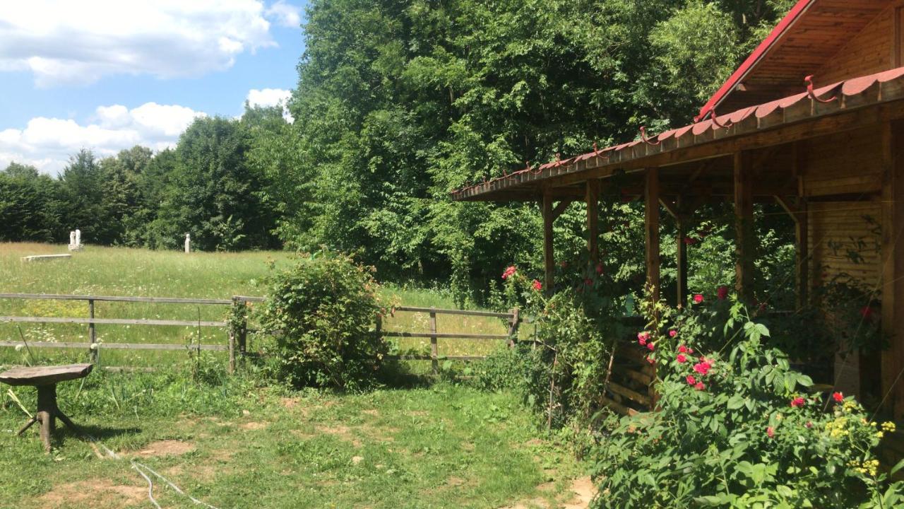 Apartmán Casutele Doftanei Teşila Exteriér fotografie