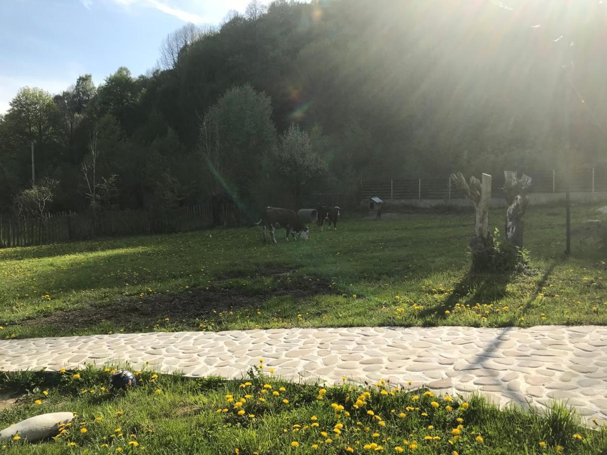 Apartmán Casutele Doftanei Teşila Exteriér fotografie